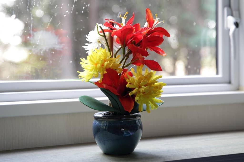Edinburgh - Seton Sands-Cameo Caravan-Pet Friendly 外观 照片